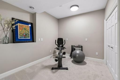 More views, more space, and more possibilities. The walkout lower level features a cozy family room with a gas fireplace and wet bar, a guest bedroom, bathroom, gym, and flexible play space that could easily be converted into an additional bedroom if