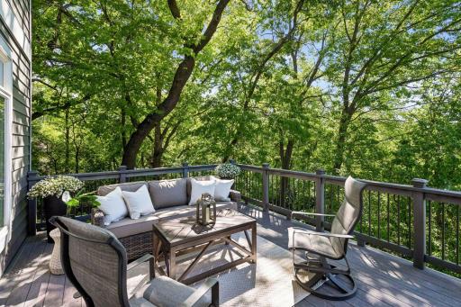 Peaceful maintenance-free deck just off the dinette with beautiful views of the lake and surrounding nature.