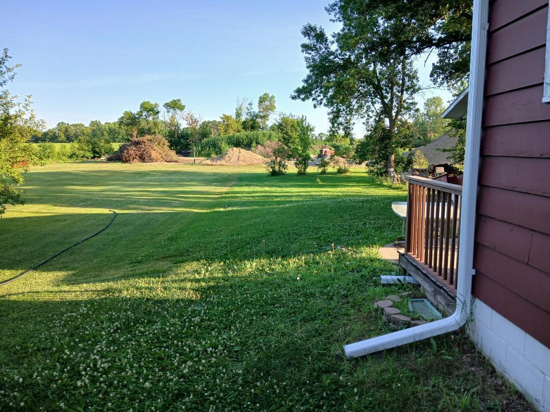 Side Yard.jpg