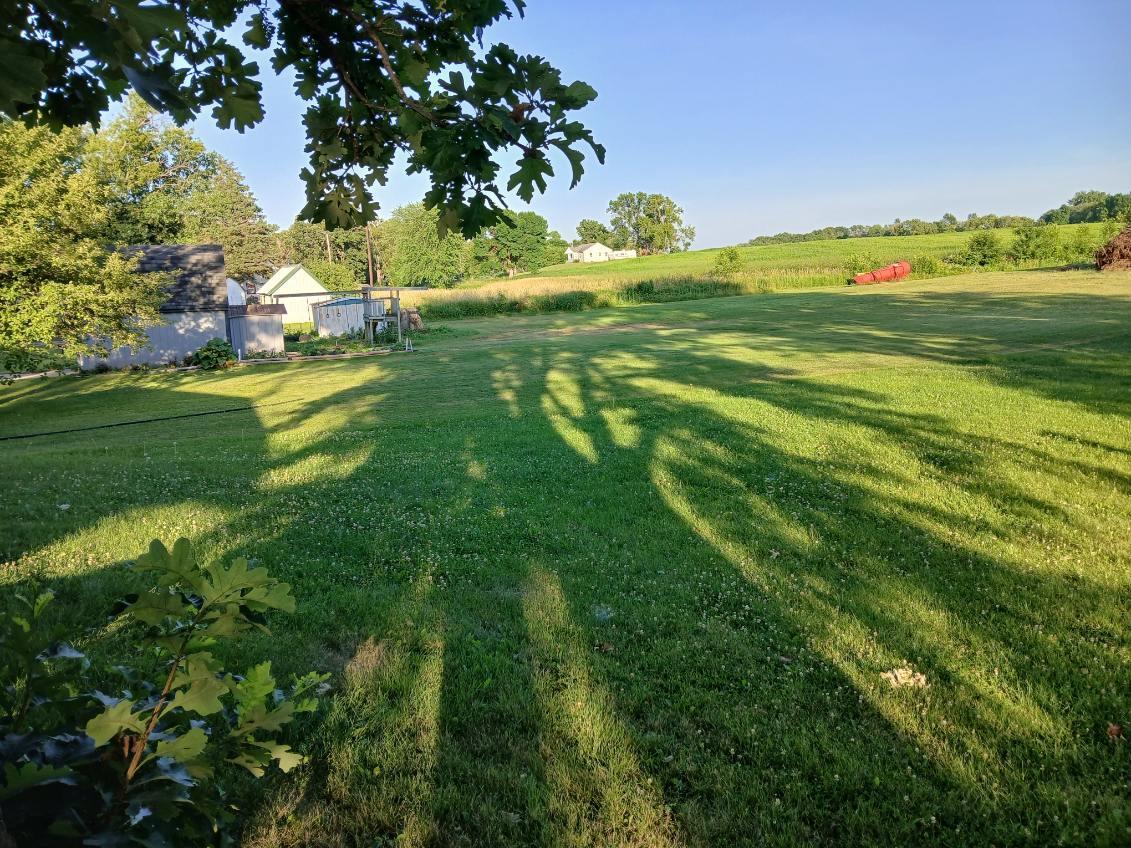 Back Yard.jpg