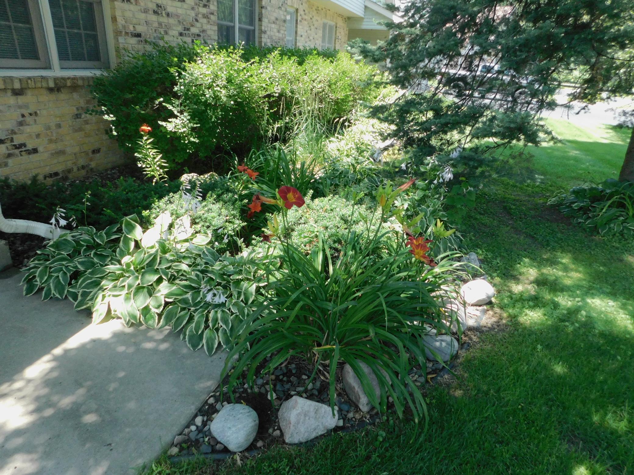 DSCN1697.JPG