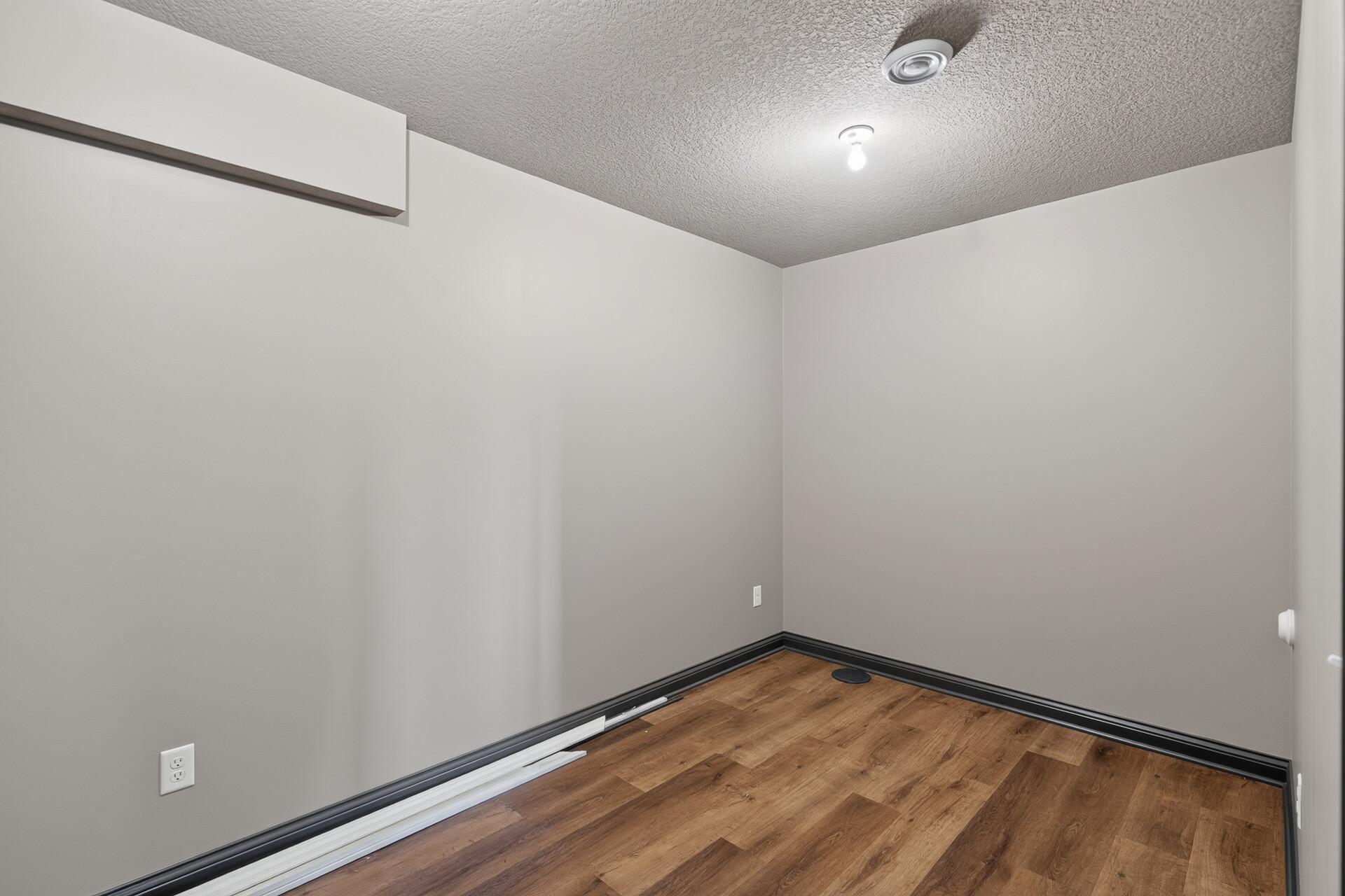 Flex room on lower level