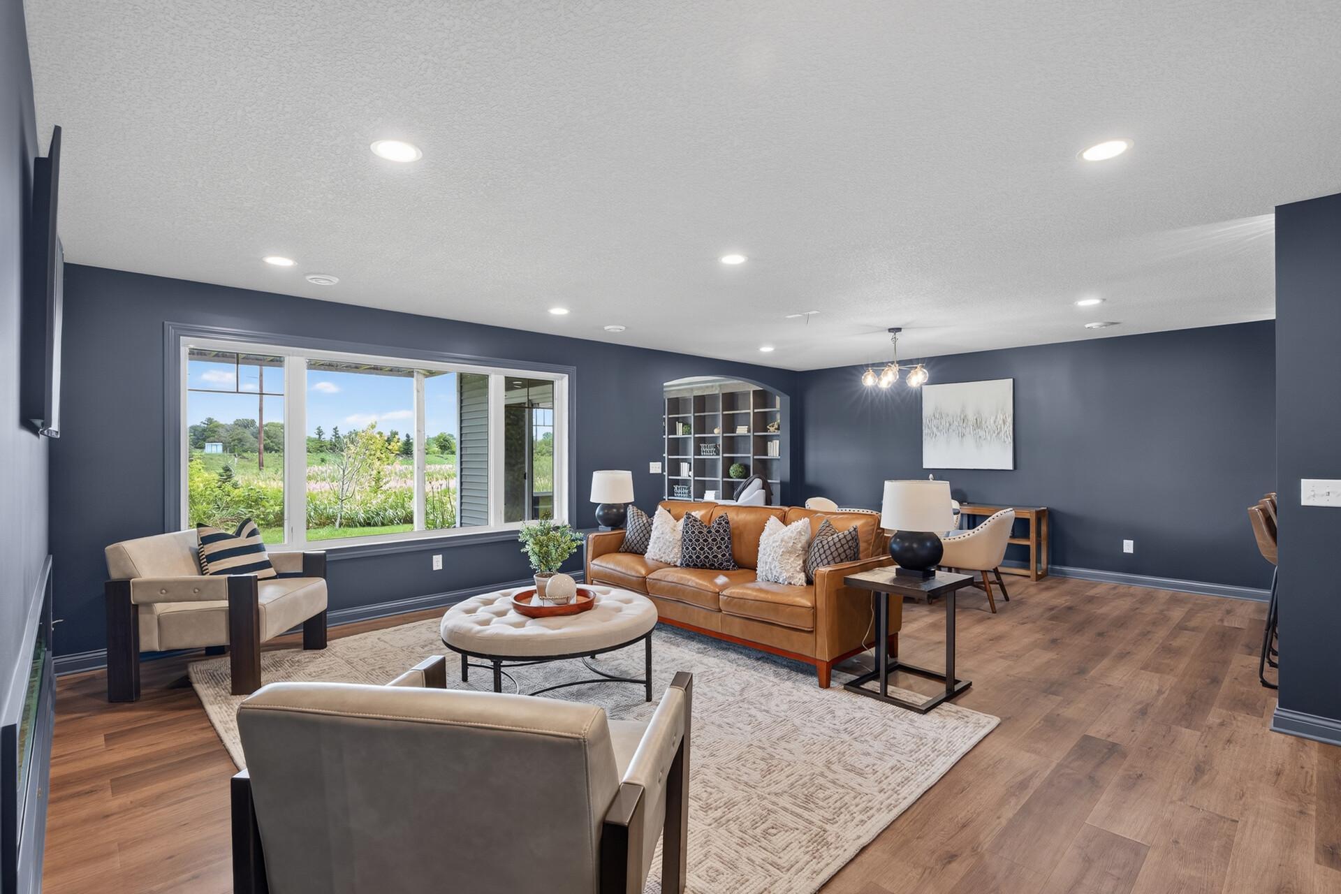 Lower level living room