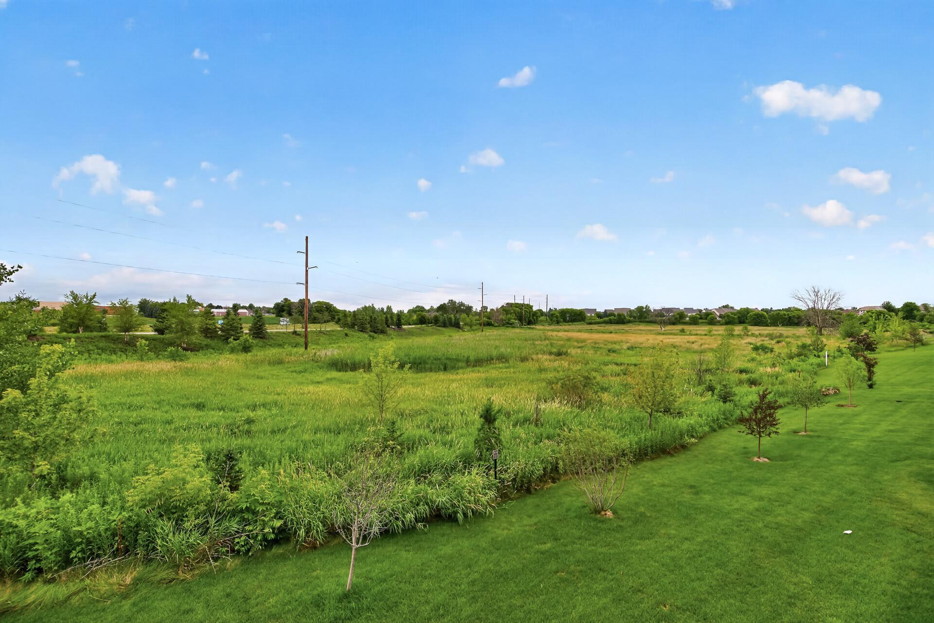 View to back yard