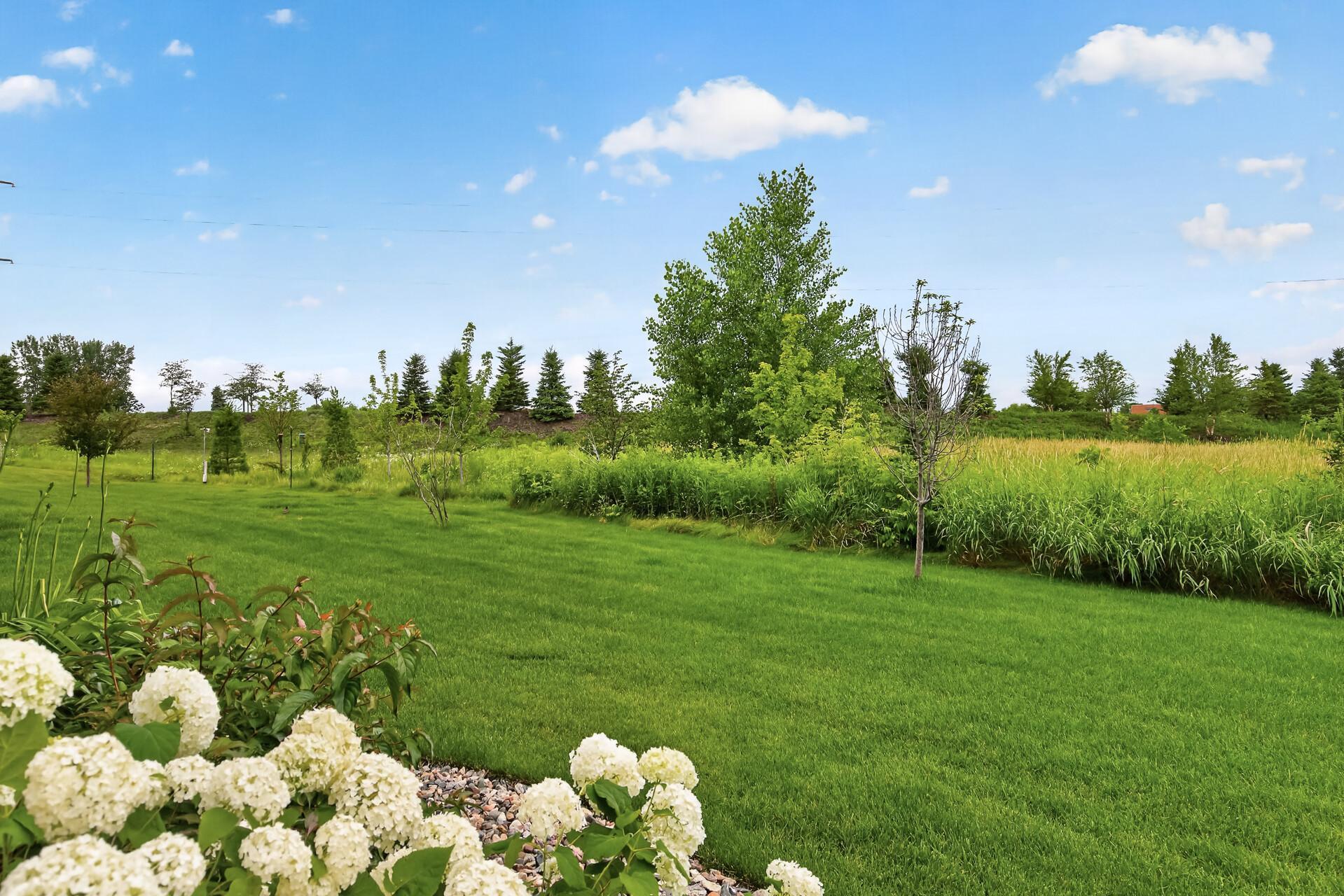 View to back yard