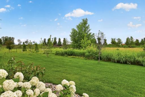 Private backyard with view of protected wetlands