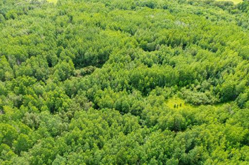 DJI_0619-Edit-Edit.JPG