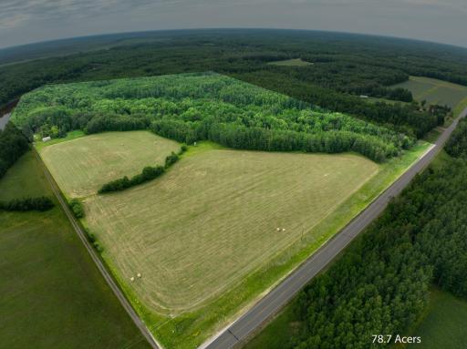 Photo for TBD COUNTY RD 79, Littlefork, MN 56653 - listing #7106372 TBD COUNTY RD 79, Littlefork, MN 56653
