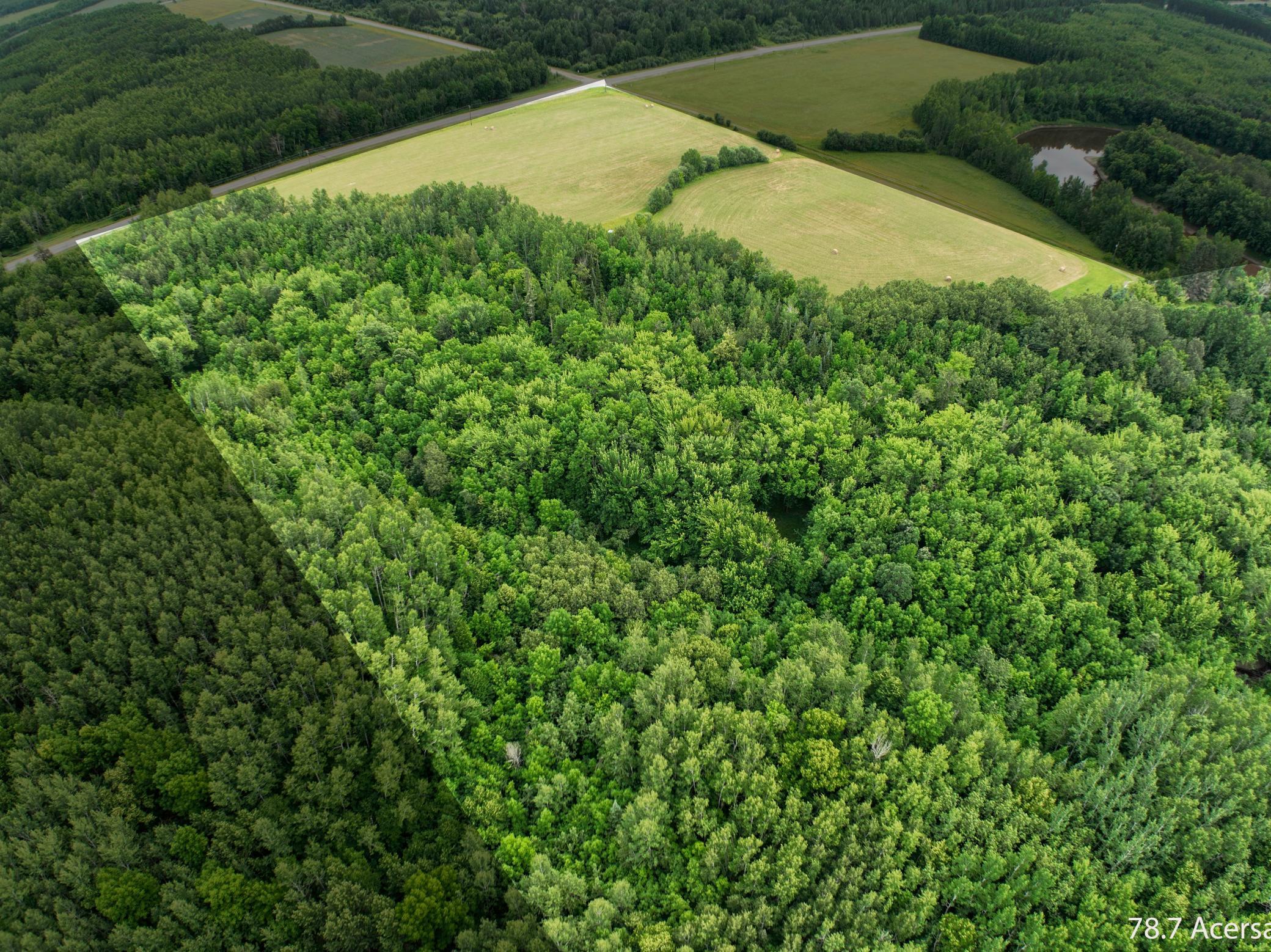 DJI_0035-Edit.jpg