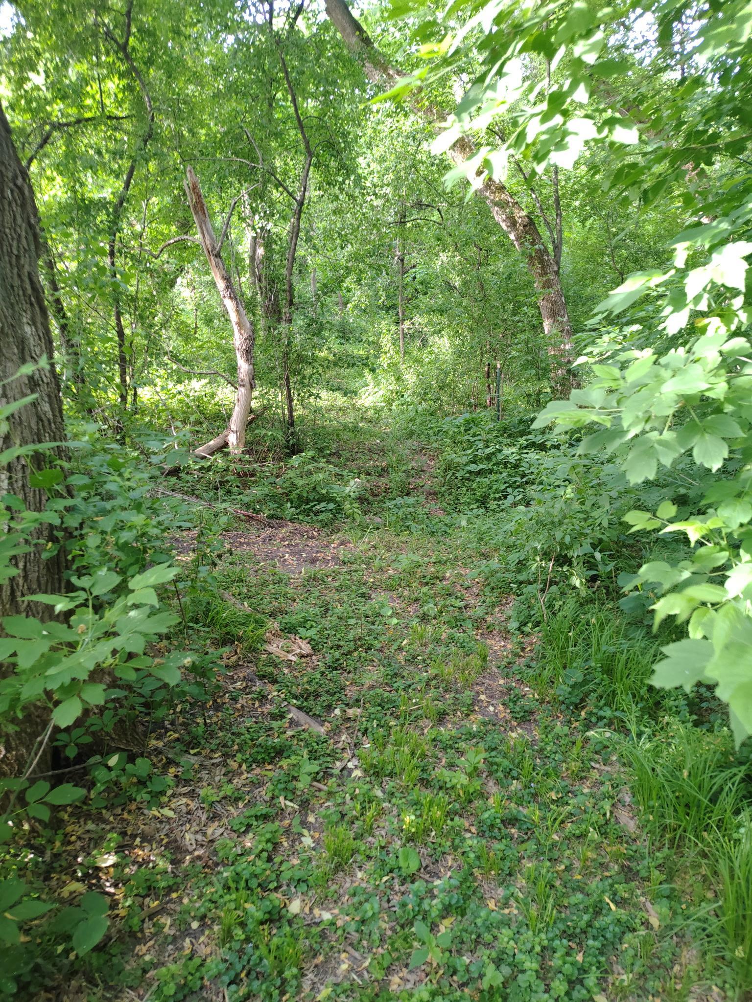 Photo 25