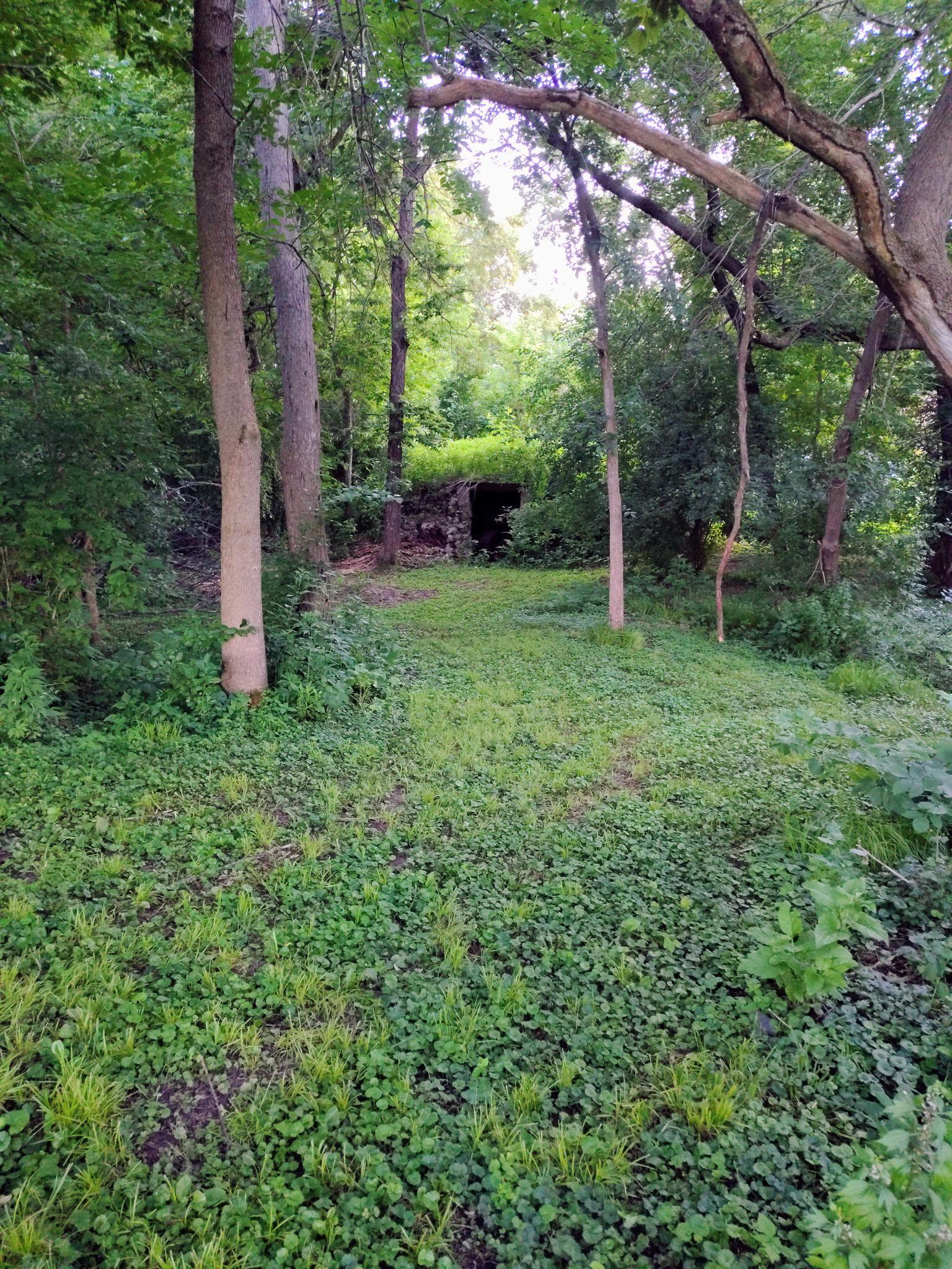 Root Cellar