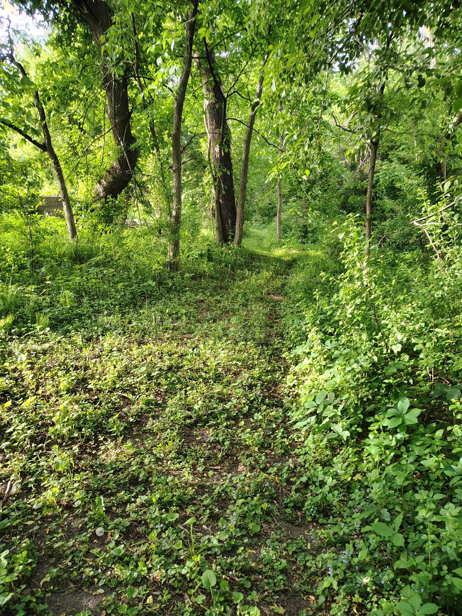Nice Walking Paths