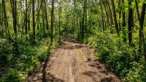 TBD W Winnie Road NE, Bena, MN 56626