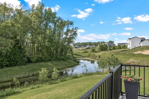 Mature trees and pond behind home for privacy.