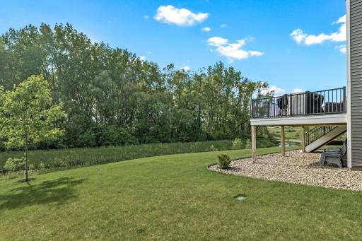 Lots of space for kids and pets to run and play!