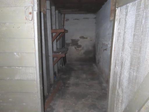 320 cold storage in bsmt.jpg