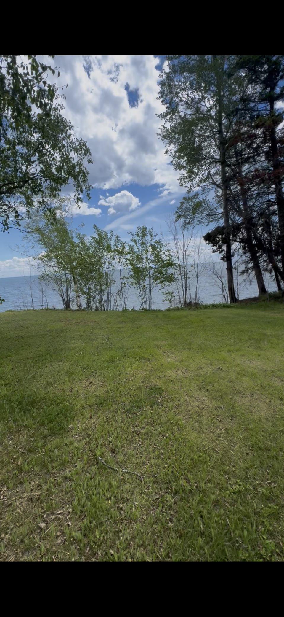 IMG_7708.PNG