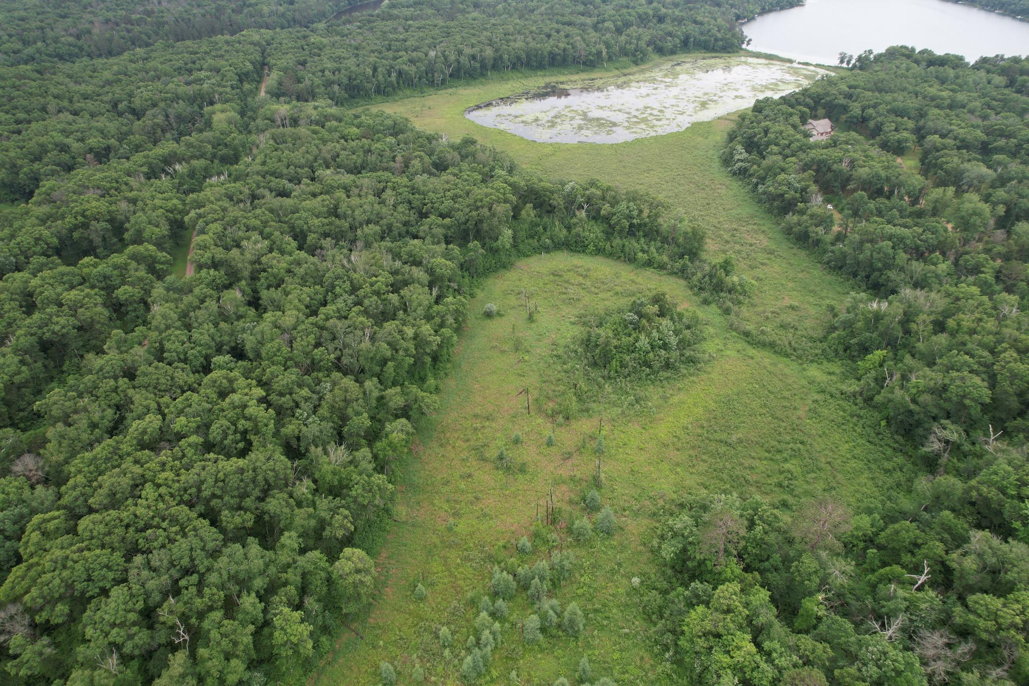DJI_0260.JPG