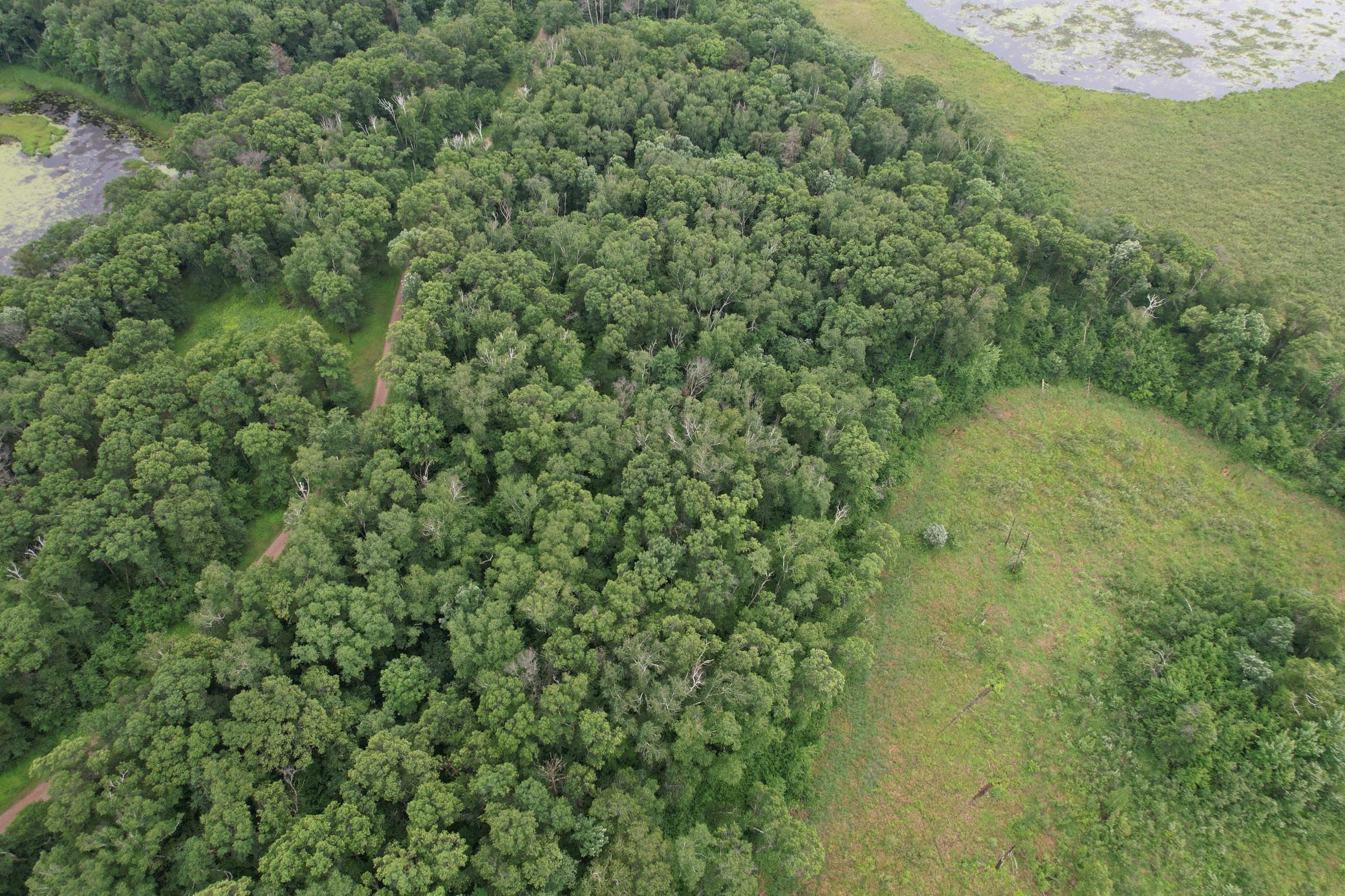 DJI_0261.JPG