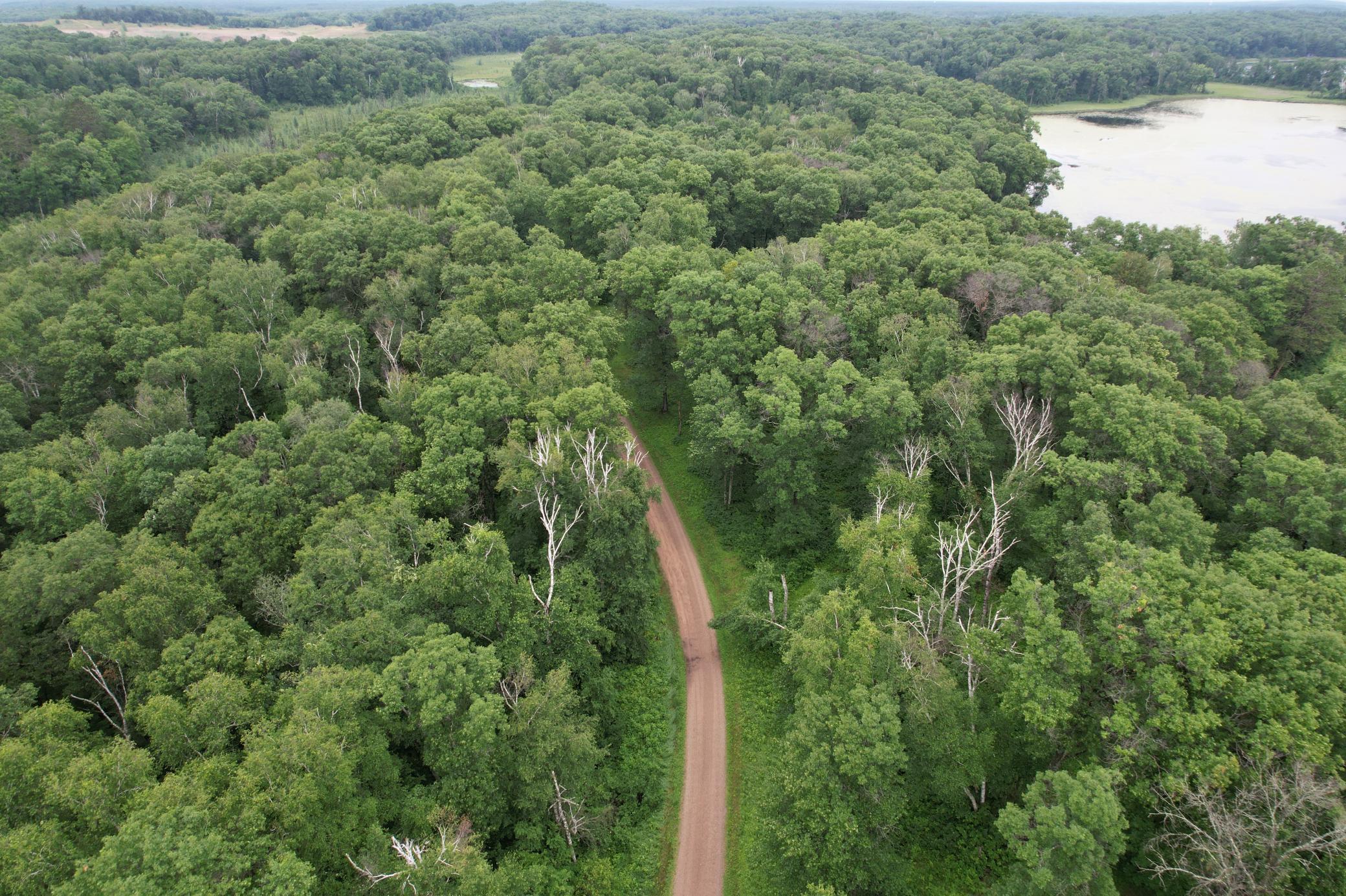 DJI_0247.JPG