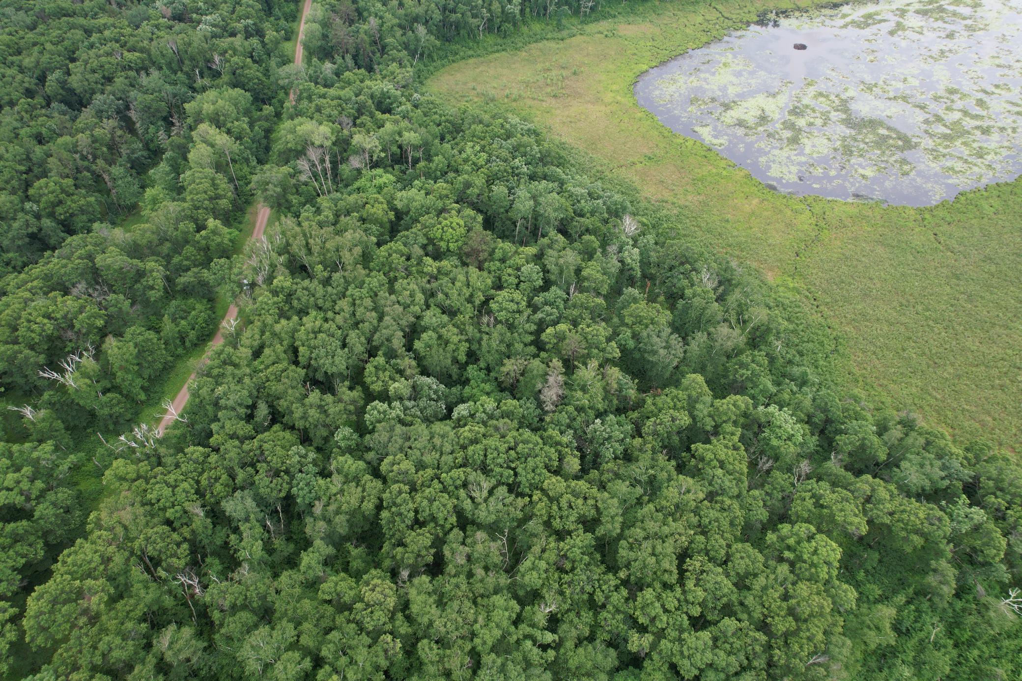 DJI_0262.JPG