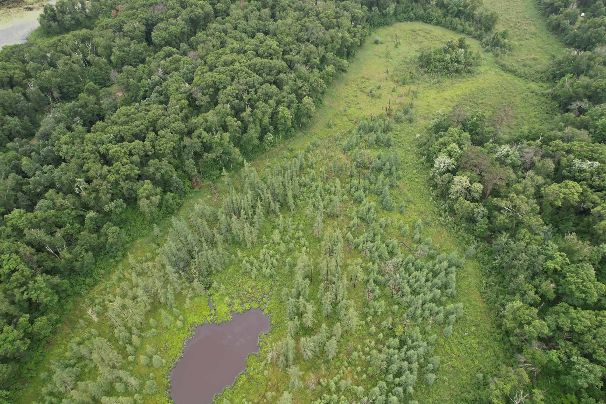 DJI_0259.JPG