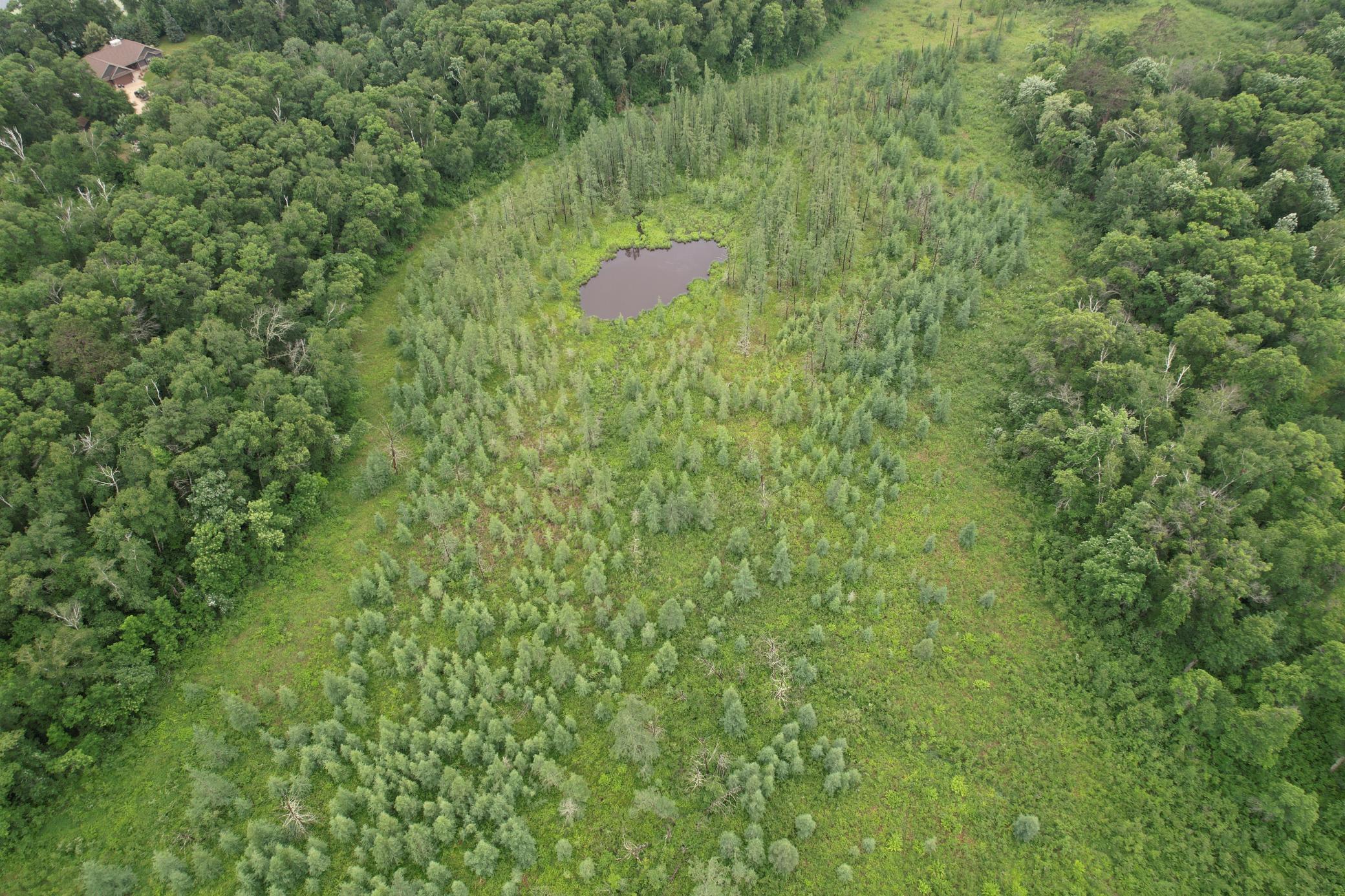 DJI_0257.JPG