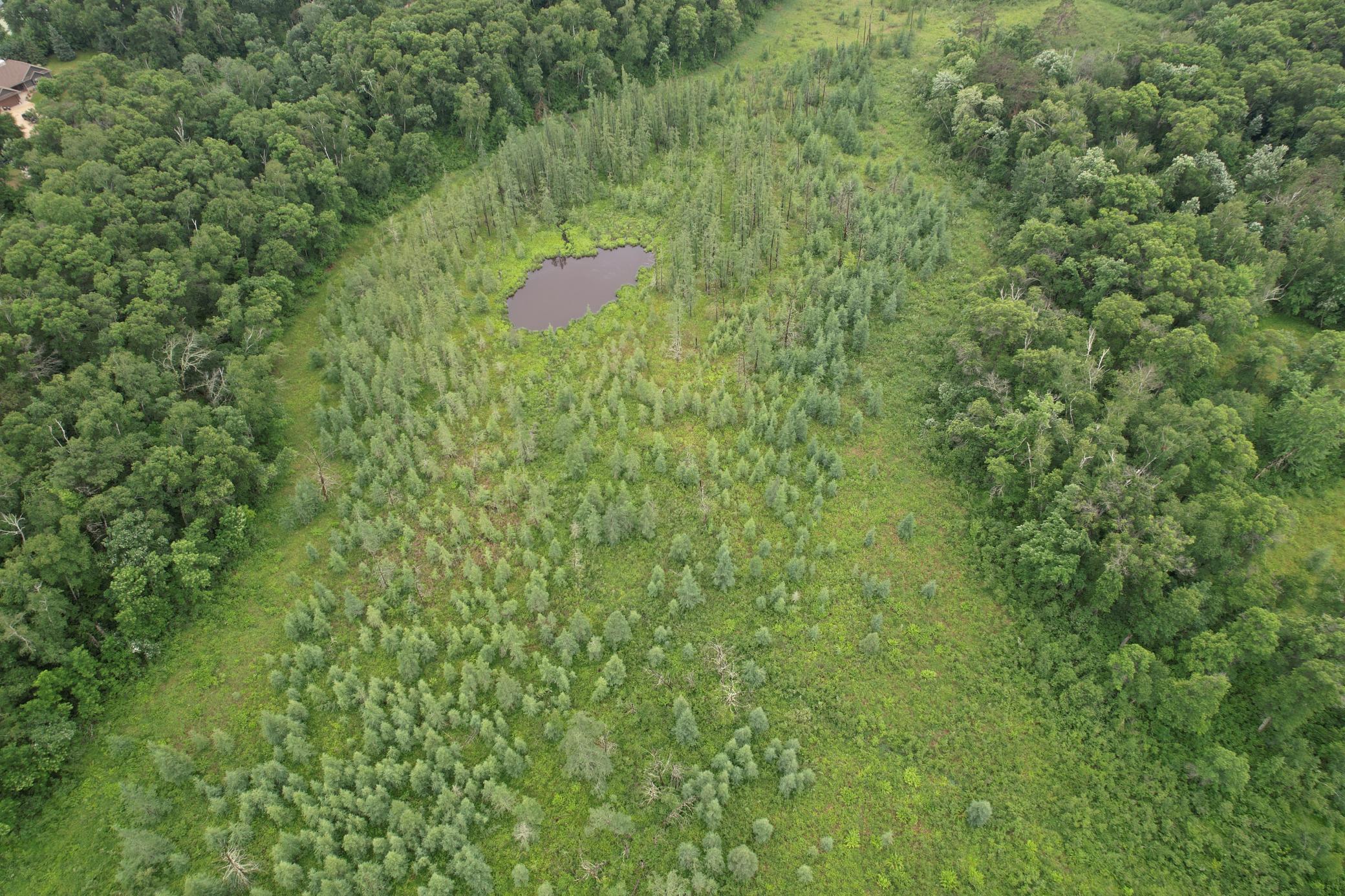 DJI_0258.JPG