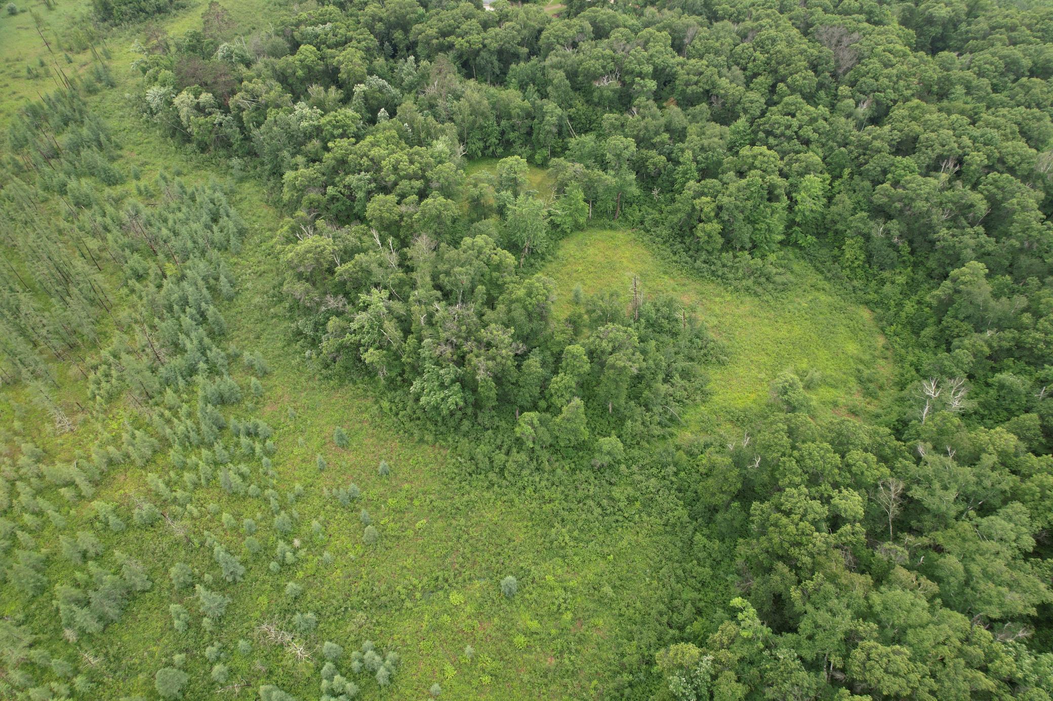 DJI_0256.JPG
