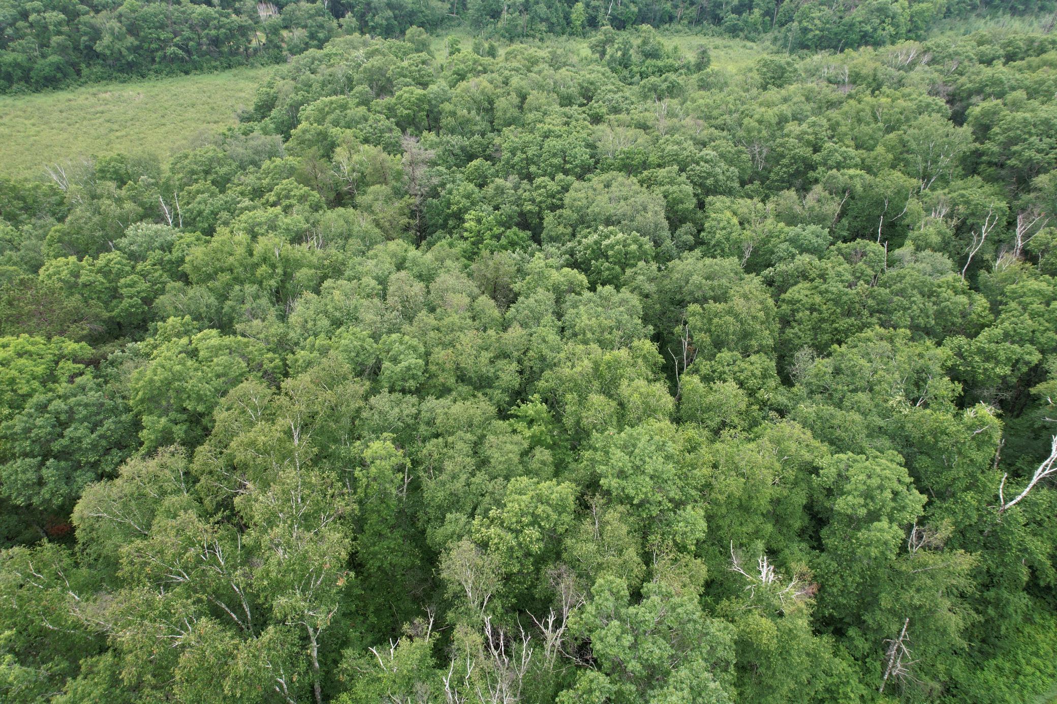 DJI_0266.JPG
