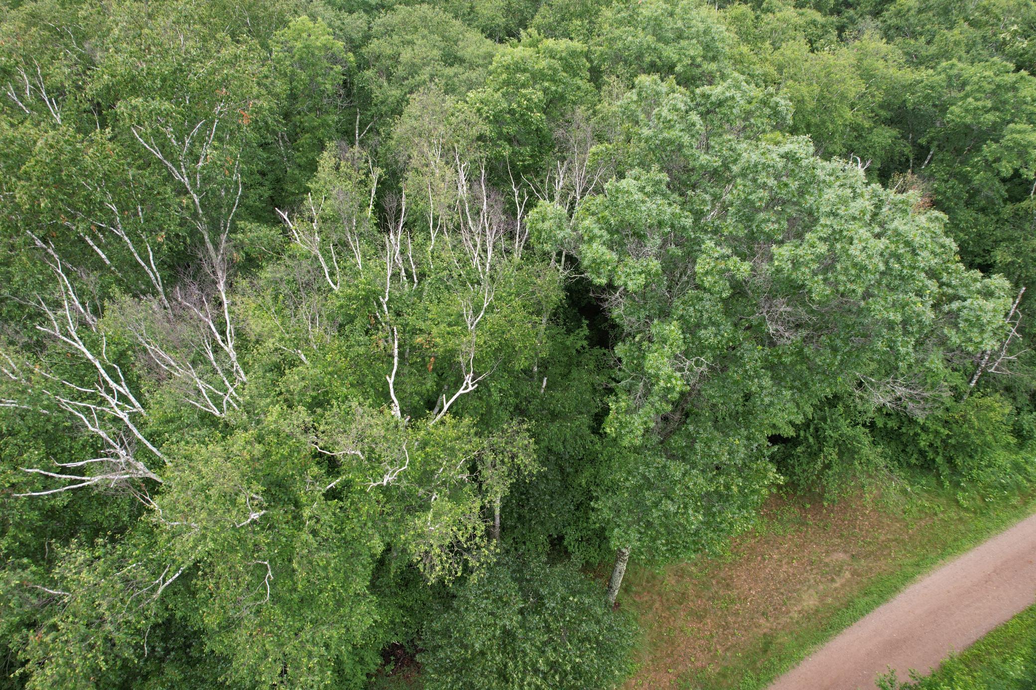 DJI_0267.JPG