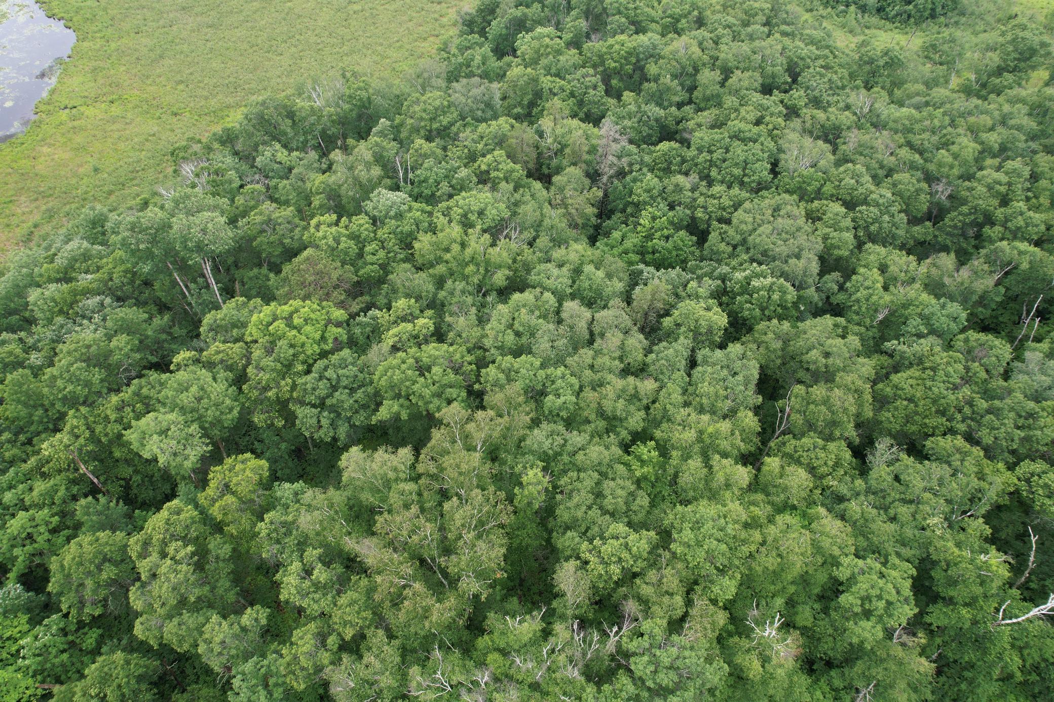 DJI_0265.JPG