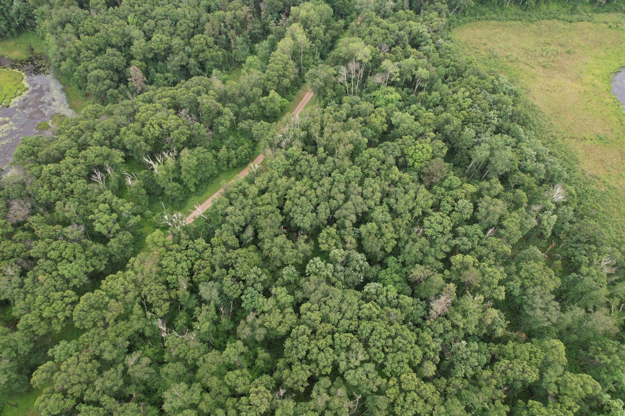 DJI_0263.JPG