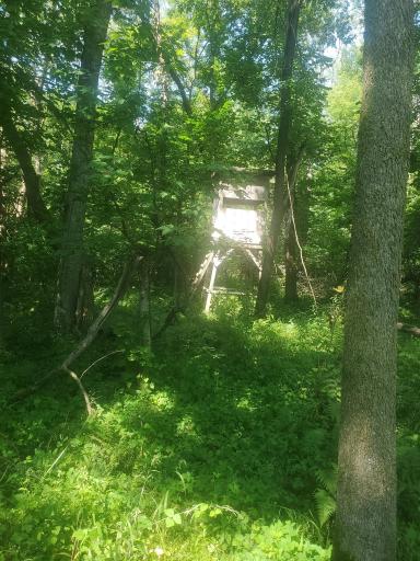 37451 Jasper Street NW, Dalbo, MN 55017