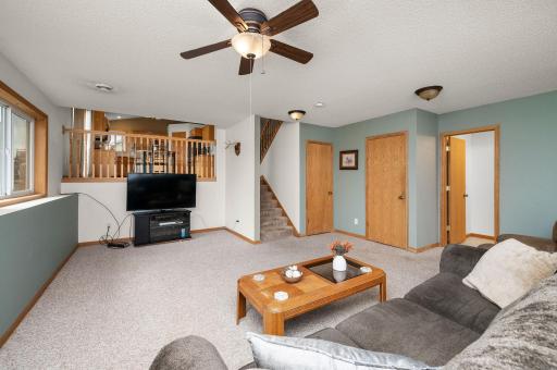 Lower level Family Room