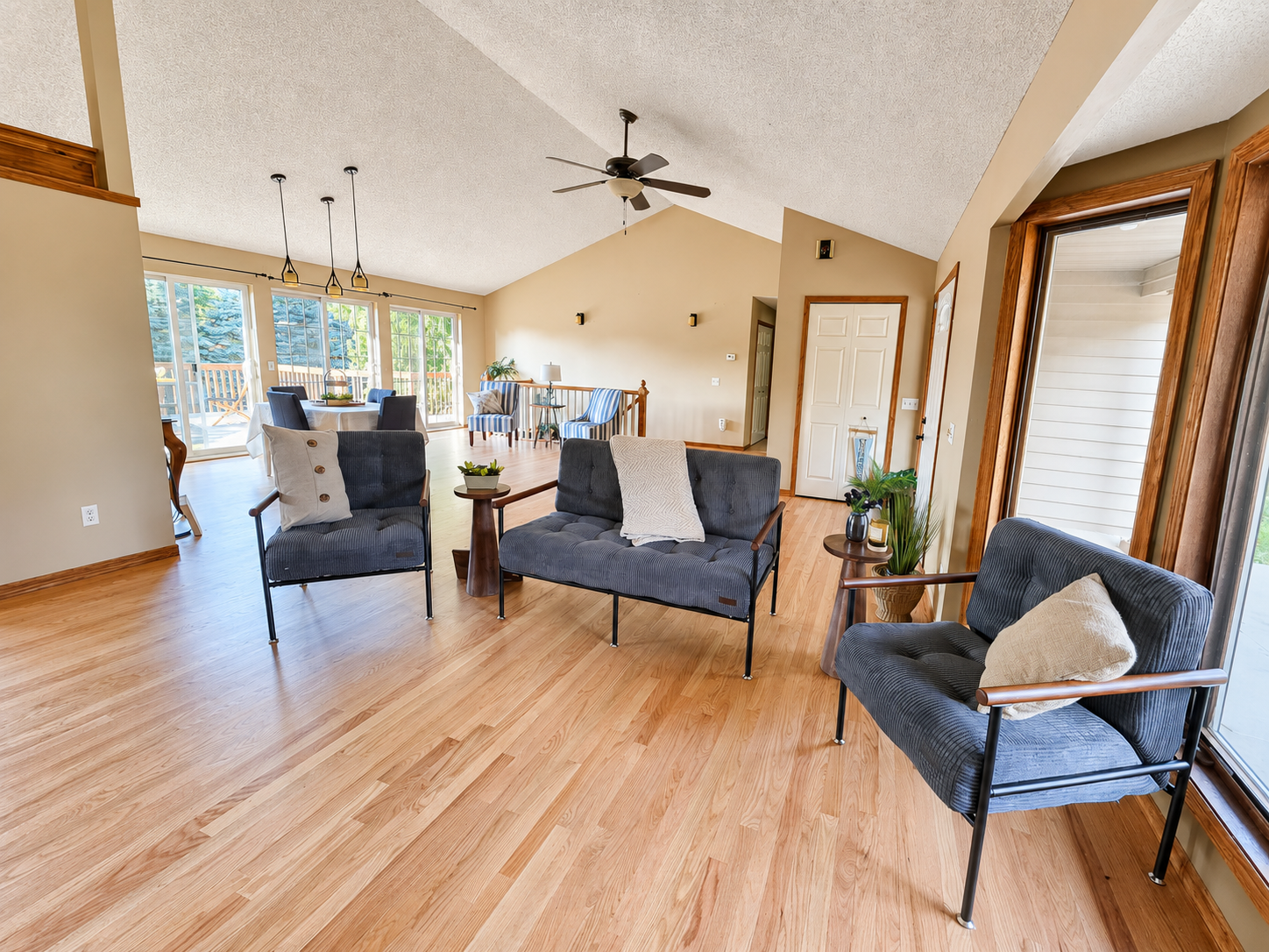 Living Room/Entry/Dining Room