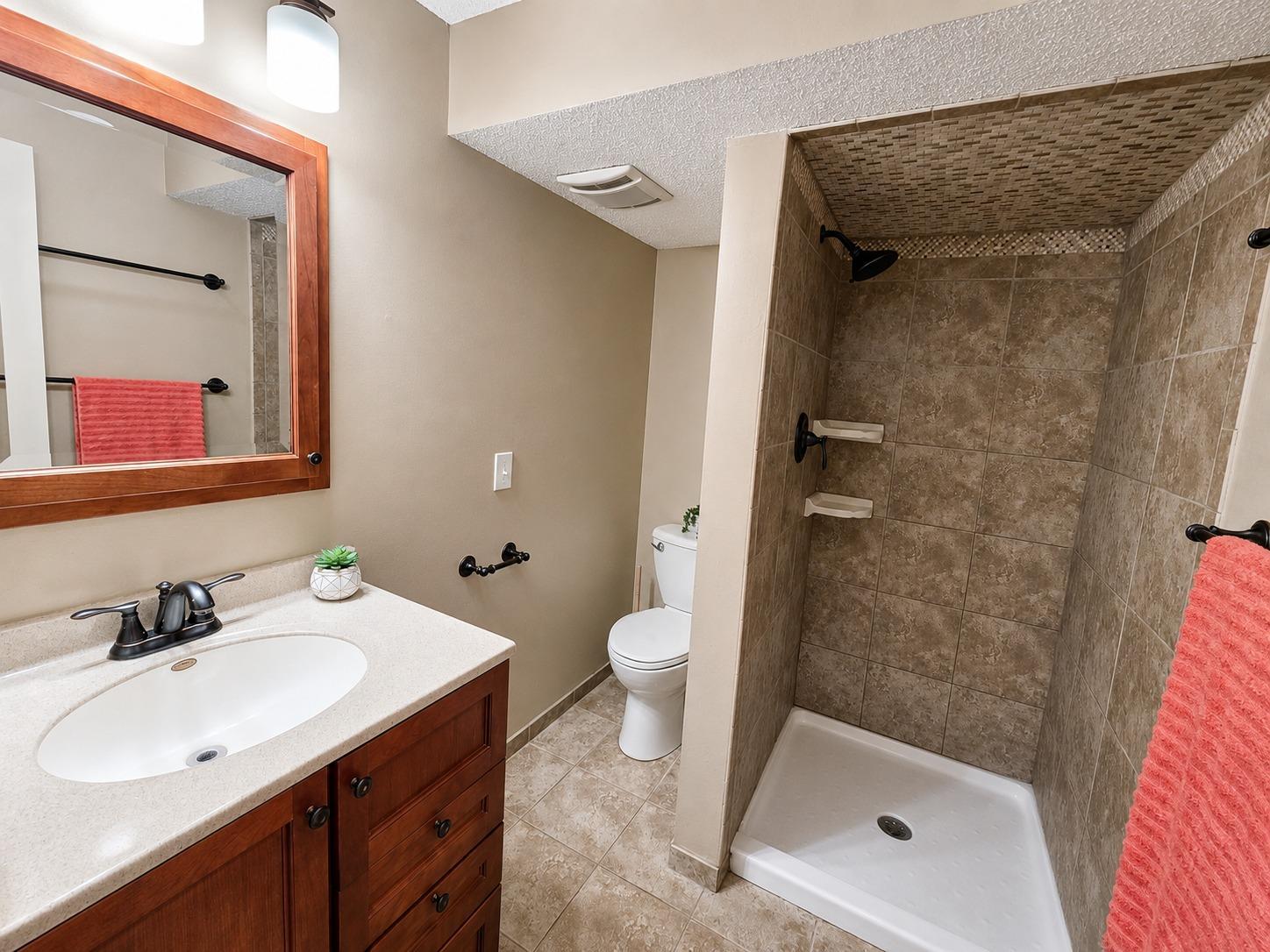 Lower Level Bathroom