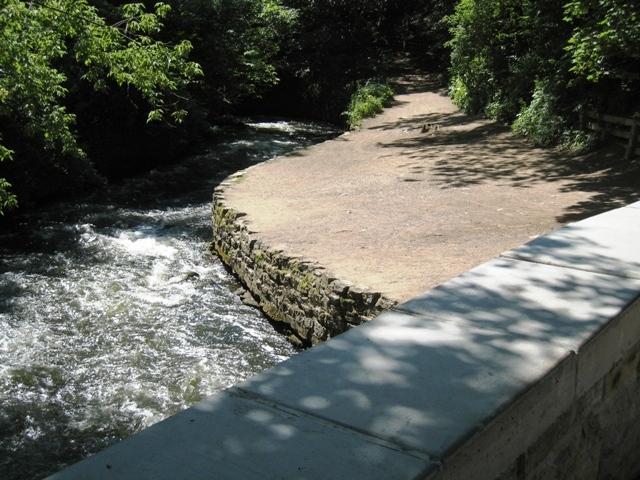IMG_4789.JPG
