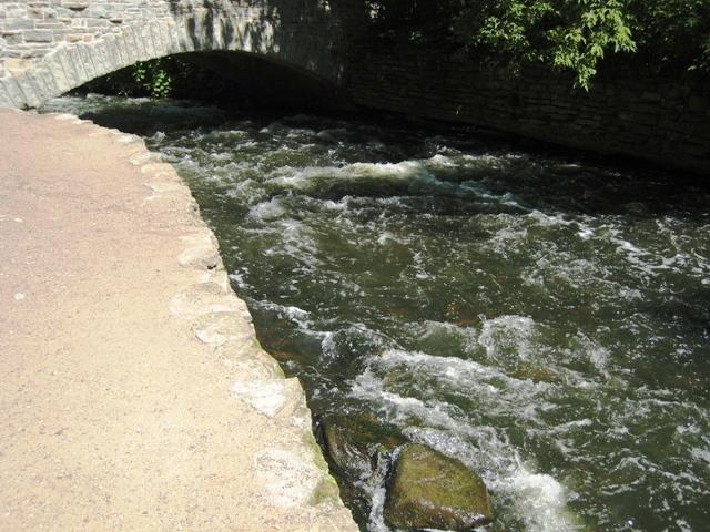 IMG_4792.JPG