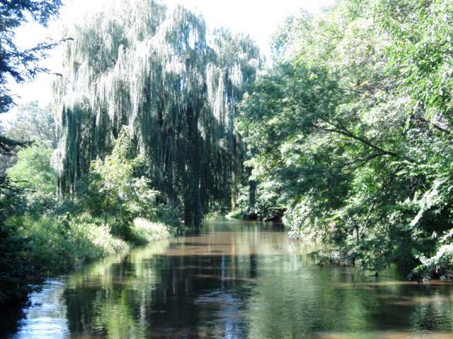 Creek