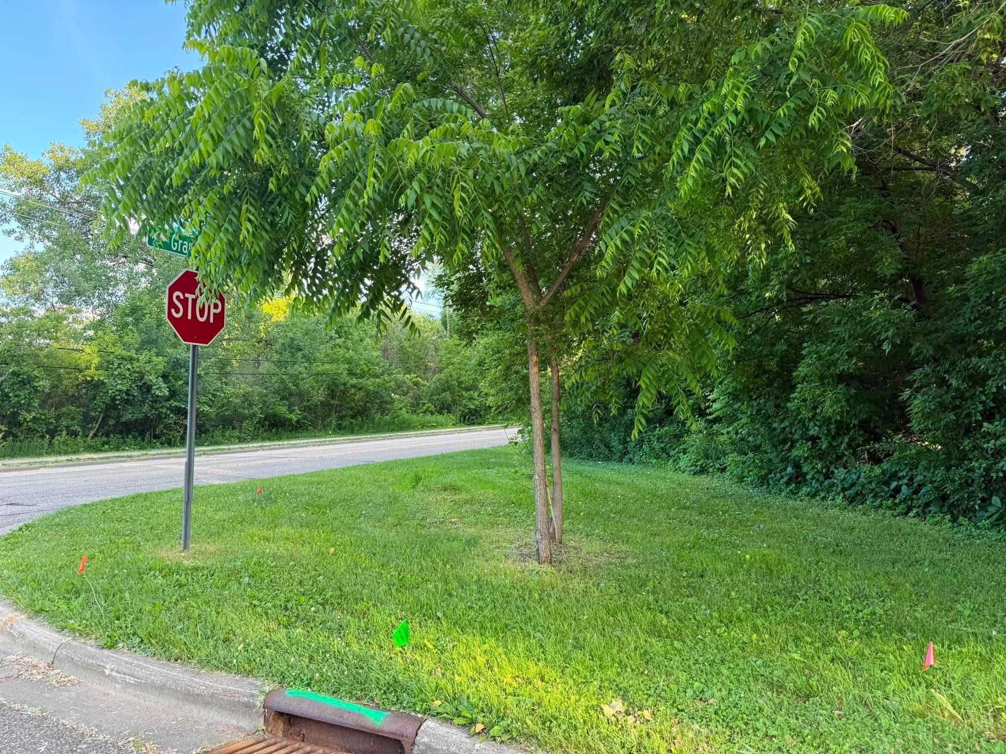 738877156_1703842764003765_4249217803886558726_n.jpg