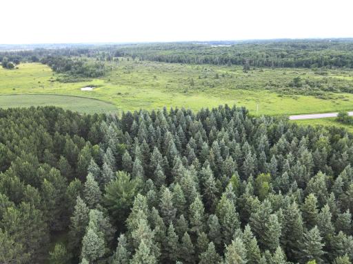 dji_fly_20260708_175950_11_1783551625294_photo.jpeg