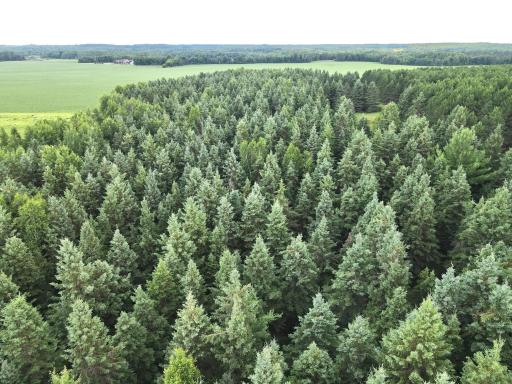 dji_fly_20260708_180026_13_1783551638013_photo.jpeg
