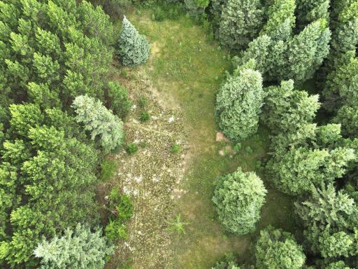 dji_fly_20260708_175936_10_1783551618913_photo.jpeg