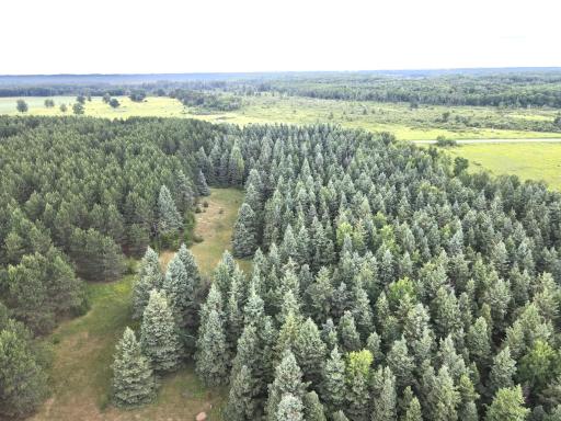 dji_fly_20260708_175848_6_1783551588444_photo.jpeg