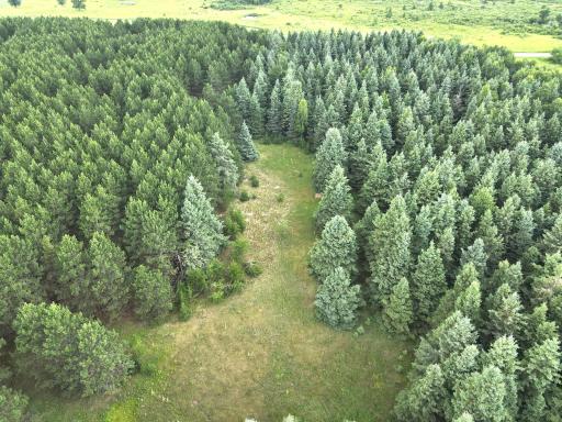 dji_fly_20260708_175920_9_1783551613344_photo.jpeg