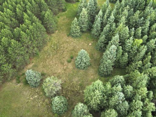 dji_fly_20260708_175904_8_1783551607938_photo.jpeg