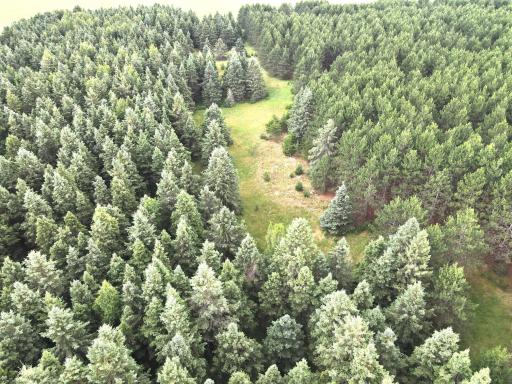 dji_fly_20260708_175754_3_1783551491739_photo.jpeg