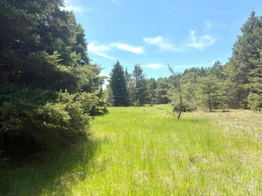 TBD-20AC Sleepy Hollow Road, Brainerd, MN 56401