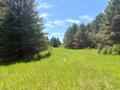 TBD-20AC Sleepy Hollow Road, Brainerd, MN 56401